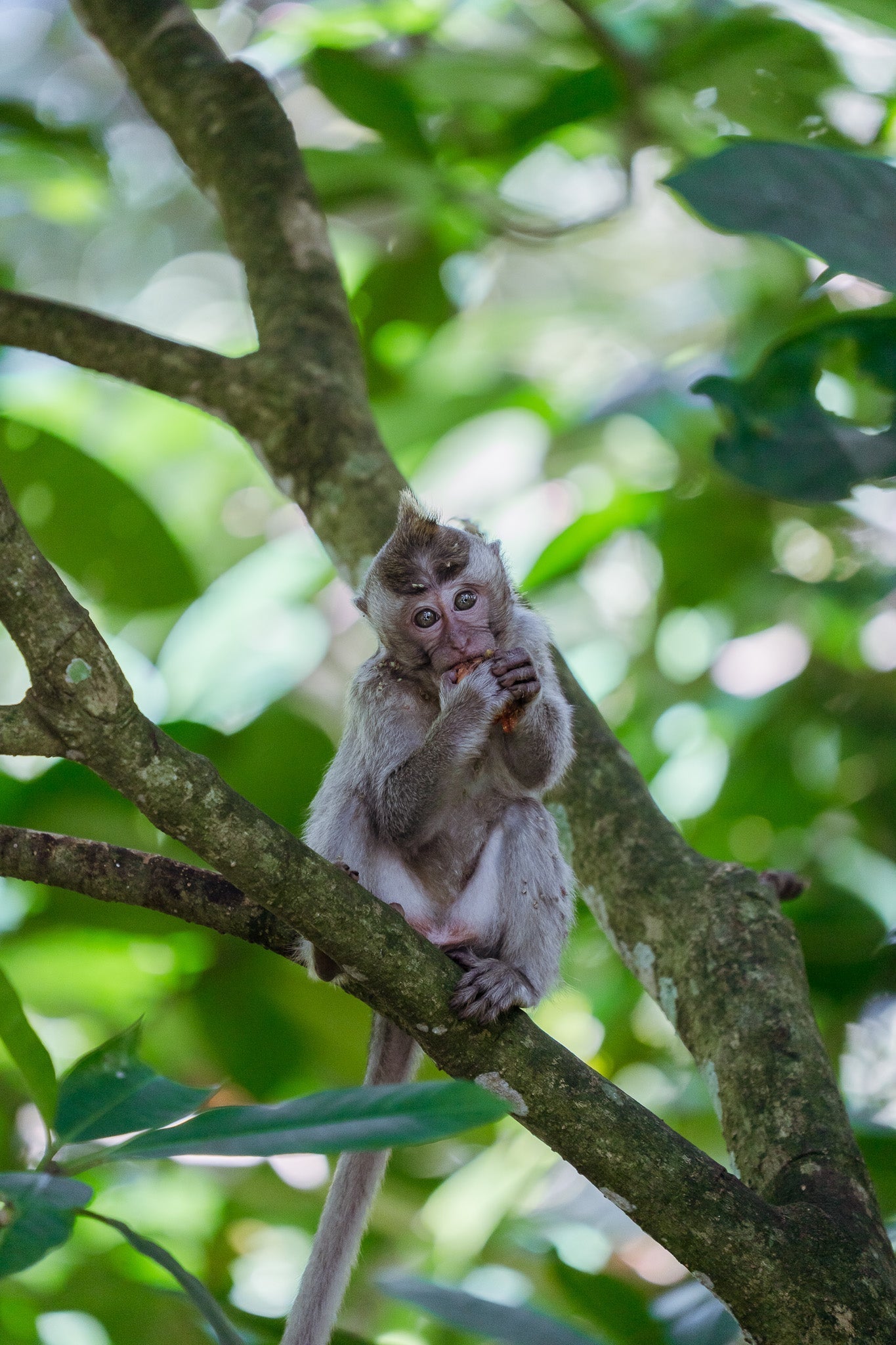 Why I Think The Most Important Part Of Photography Is Creating the Chance to Be in the Right Place At The Right Time