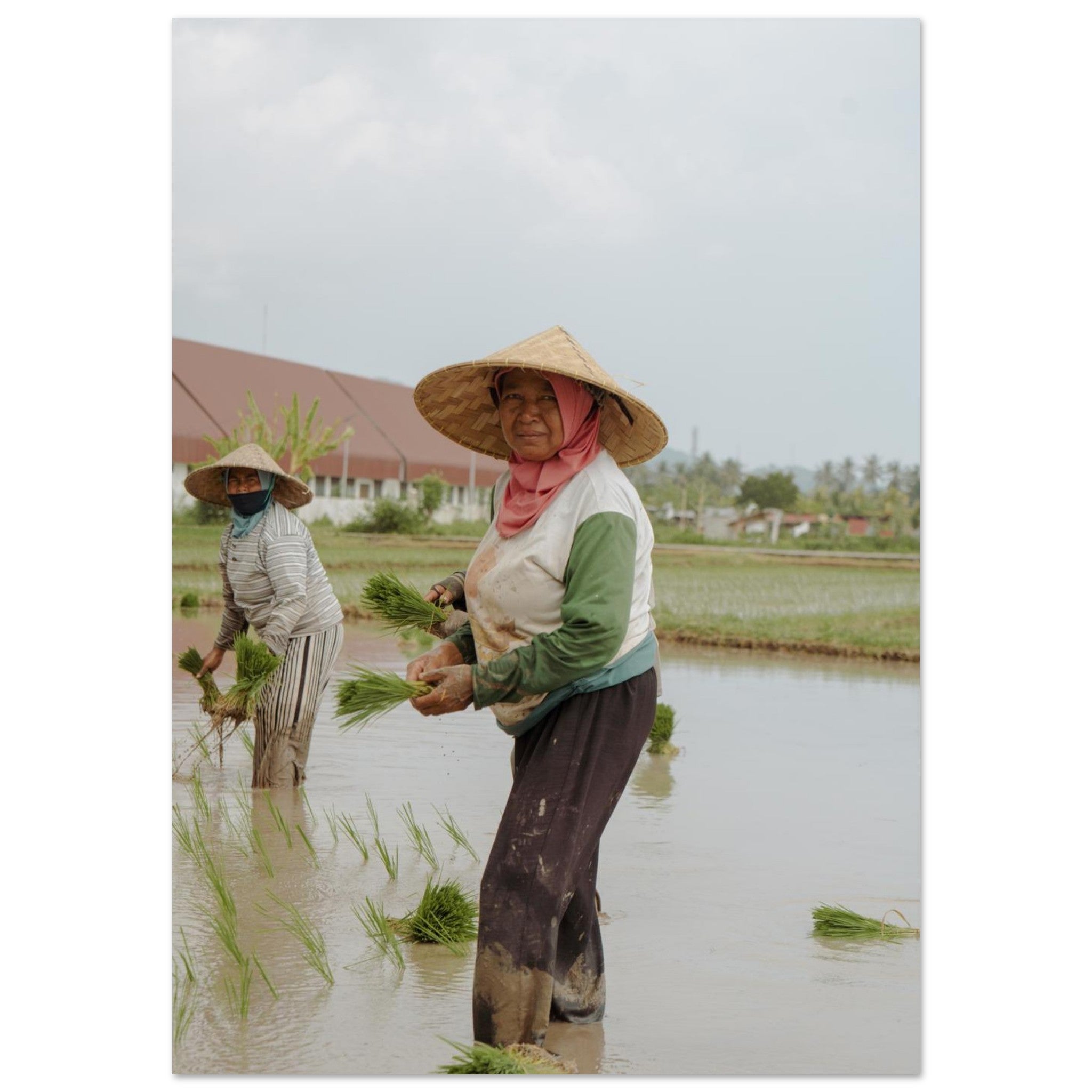 03896562-2e81-42d4-ba4c-7b6cca22fcf0