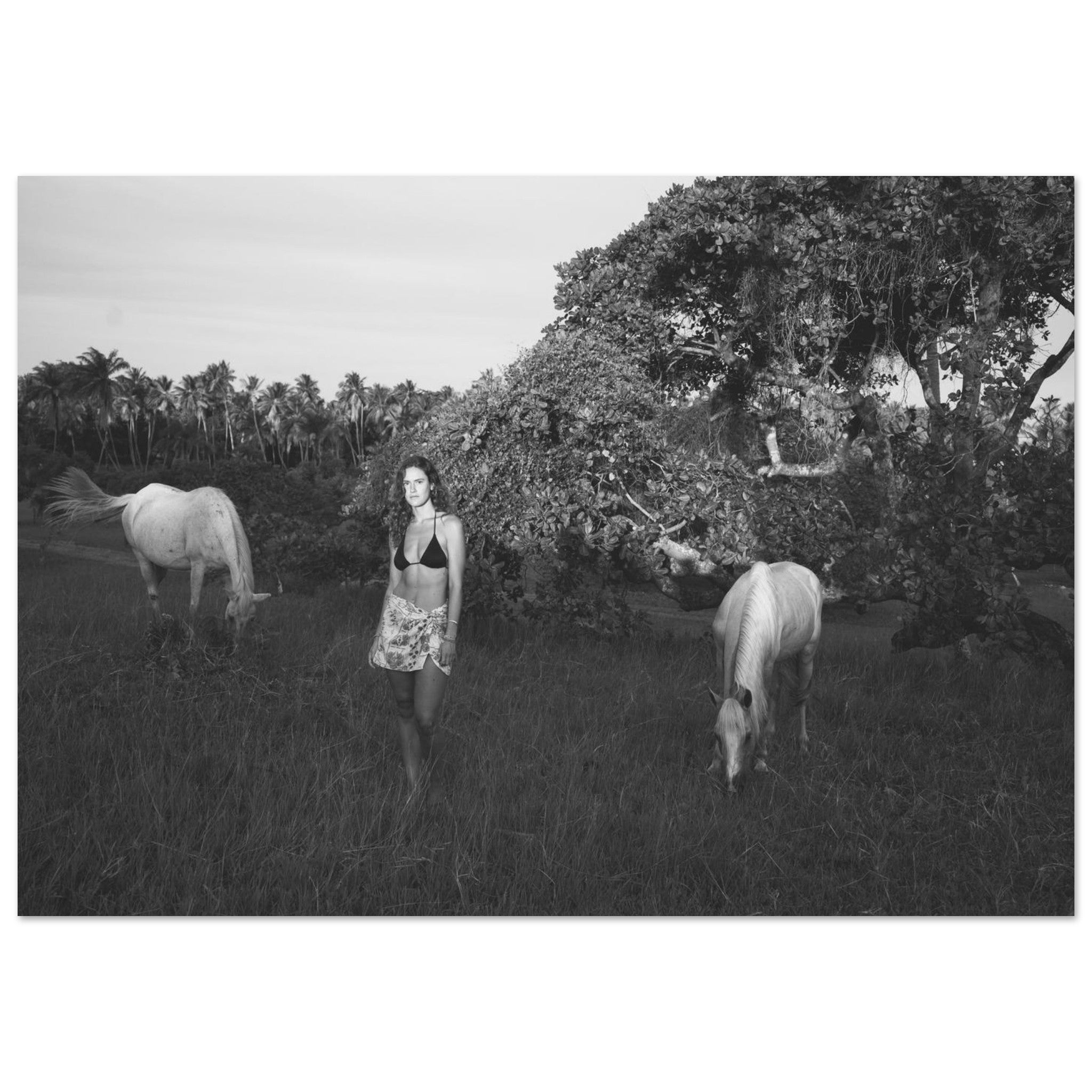 0c29bedd-3bcb-4ec7-b4a9-c92630502bb0