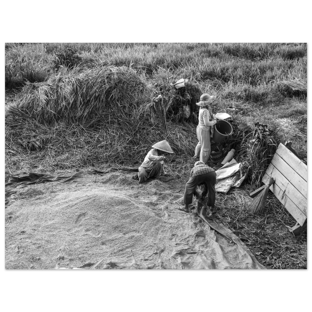 160521a2-d0a7-439d-9bce-41eec6651c55