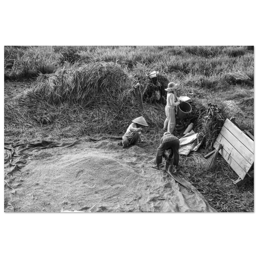 18a022a6-d131-4a64-89cc-8515987907c1