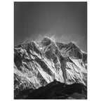 1e4616d9-7cc8-4f8a-be02-580f43403f55