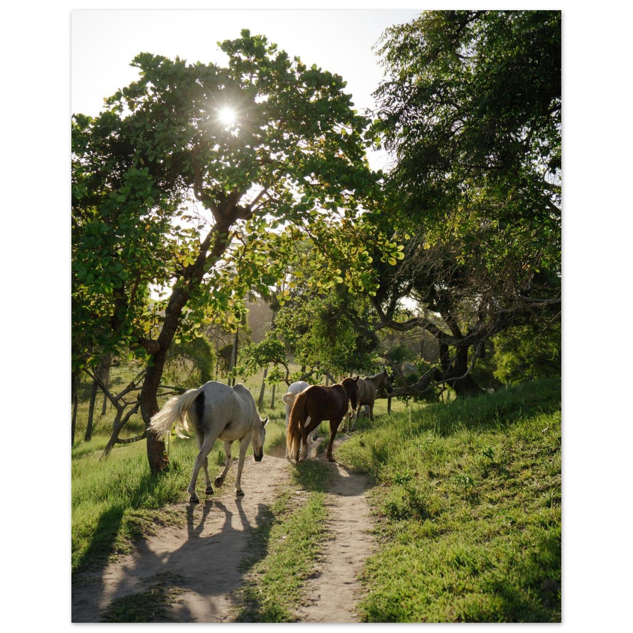 1fcef780-2fea-49a7-a0a5-8d1a04ba072d