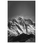 208f84d2-d781-4ea8-ac85-426e9846a062