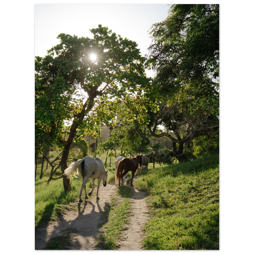 286daf27-78cd-466d-8d27-9bf2a0c06361