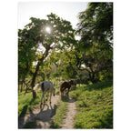 286daf27-78cd-466d-8d27-9bf2a0c06361