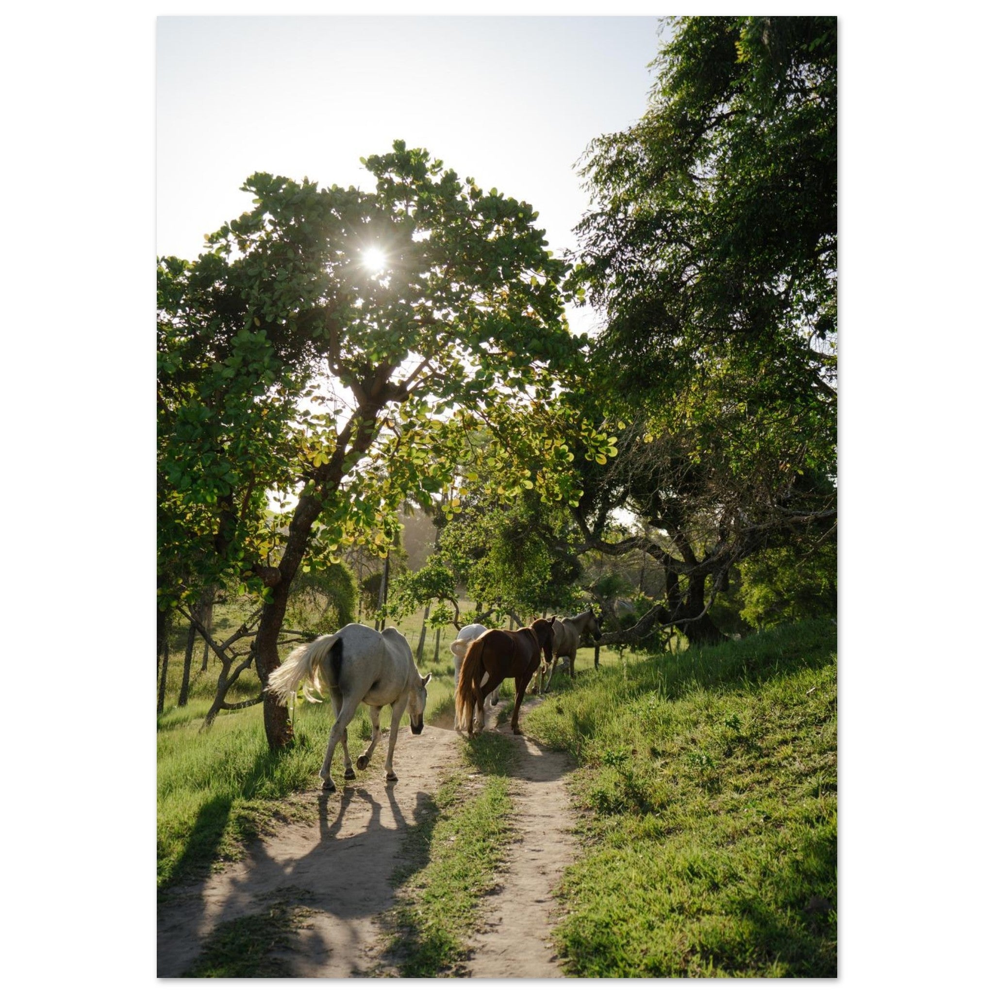 2f78ecff-b944-4661-bb58-b19301979070