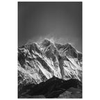 2ff76f2d-2e41-49f5-809d-7dad6387c638