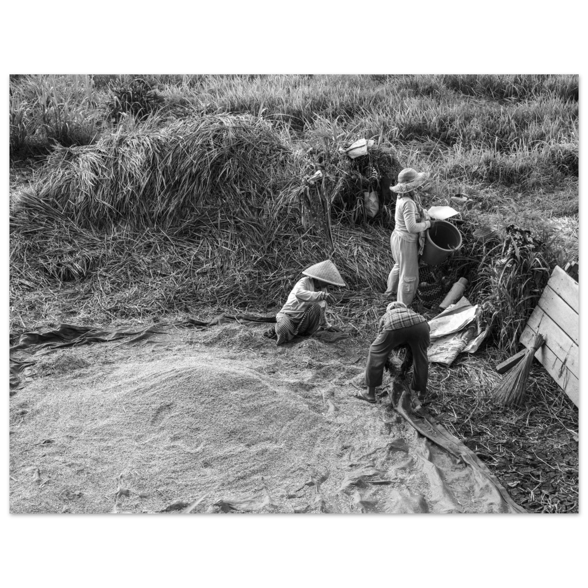 366d0f2e-12d5-4536-87e1-ac4418635ec5