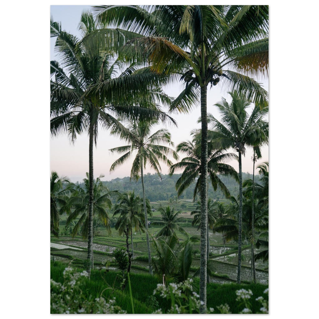 38484e18-4809-4dba-a87f-c268bcfeda03