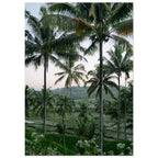 38484e18-4809-4dba-a87f-c268bcfeda03