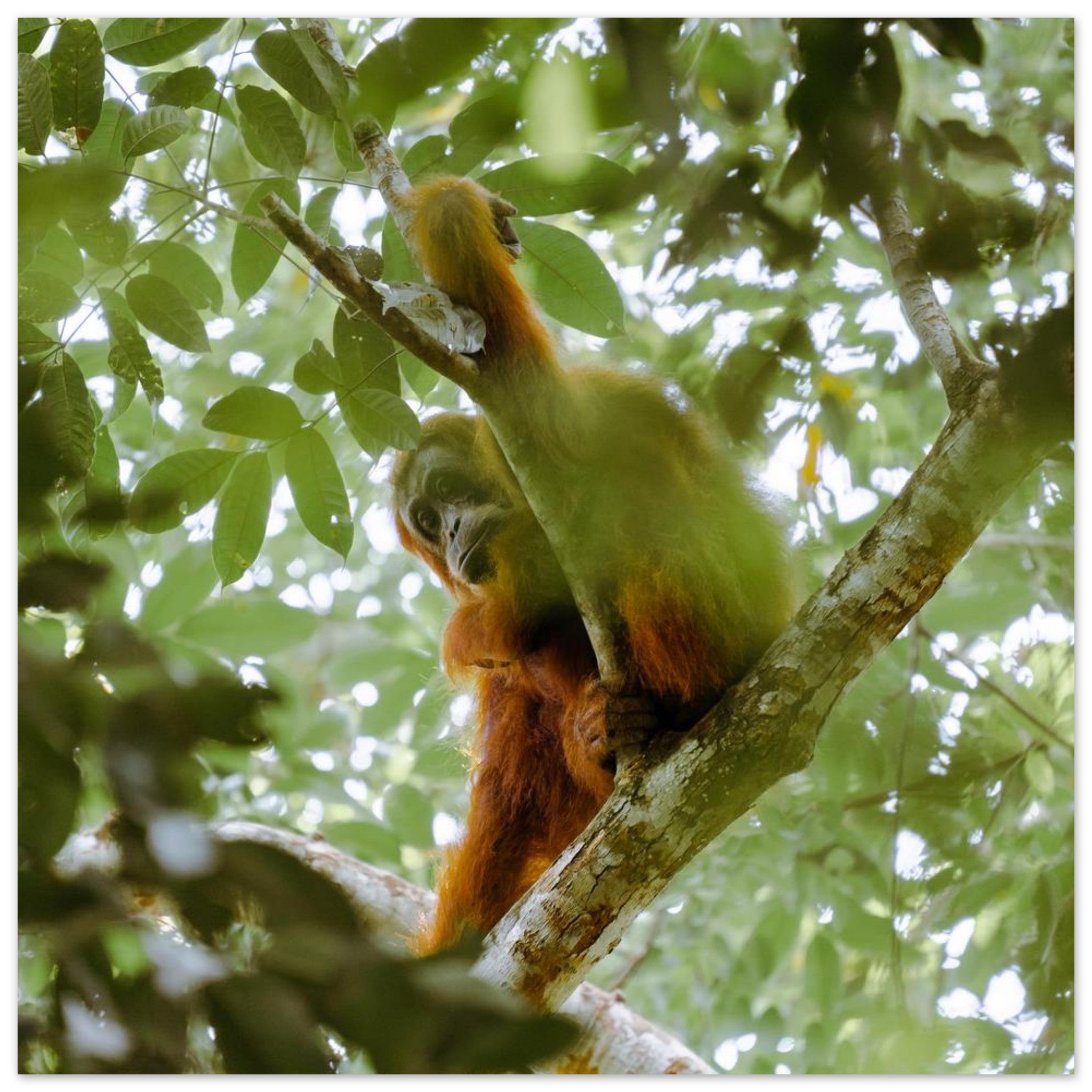 3cc2937f-ba17-4486-b0c6-95175e2124ff