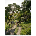 42a3de36-5b70-48d8-a3b0-30a8b48b6505