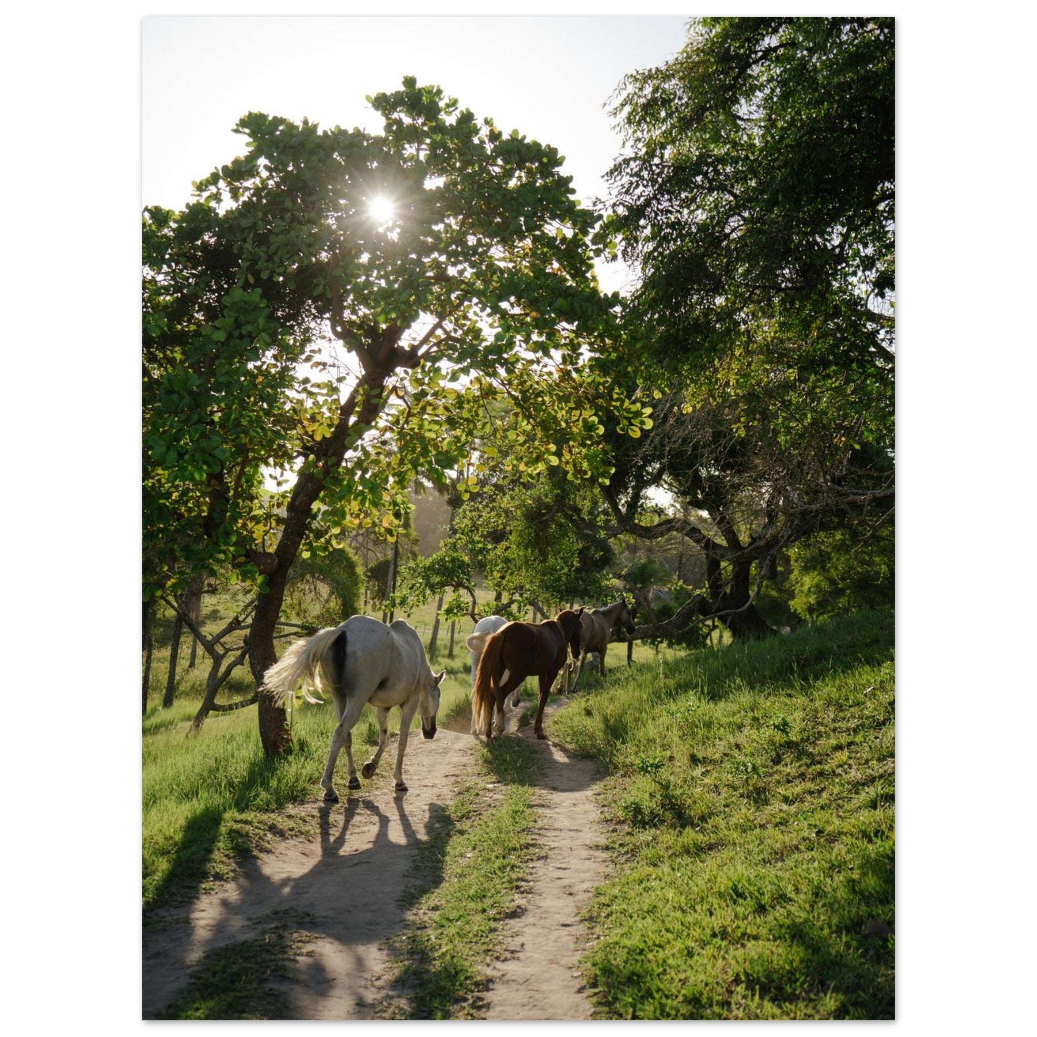 42a3de36-5b70-48d8-a3b0-30a8b48b6505