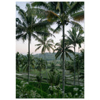 4e6c99a2-d230-42f2-a350-c187362dc49b