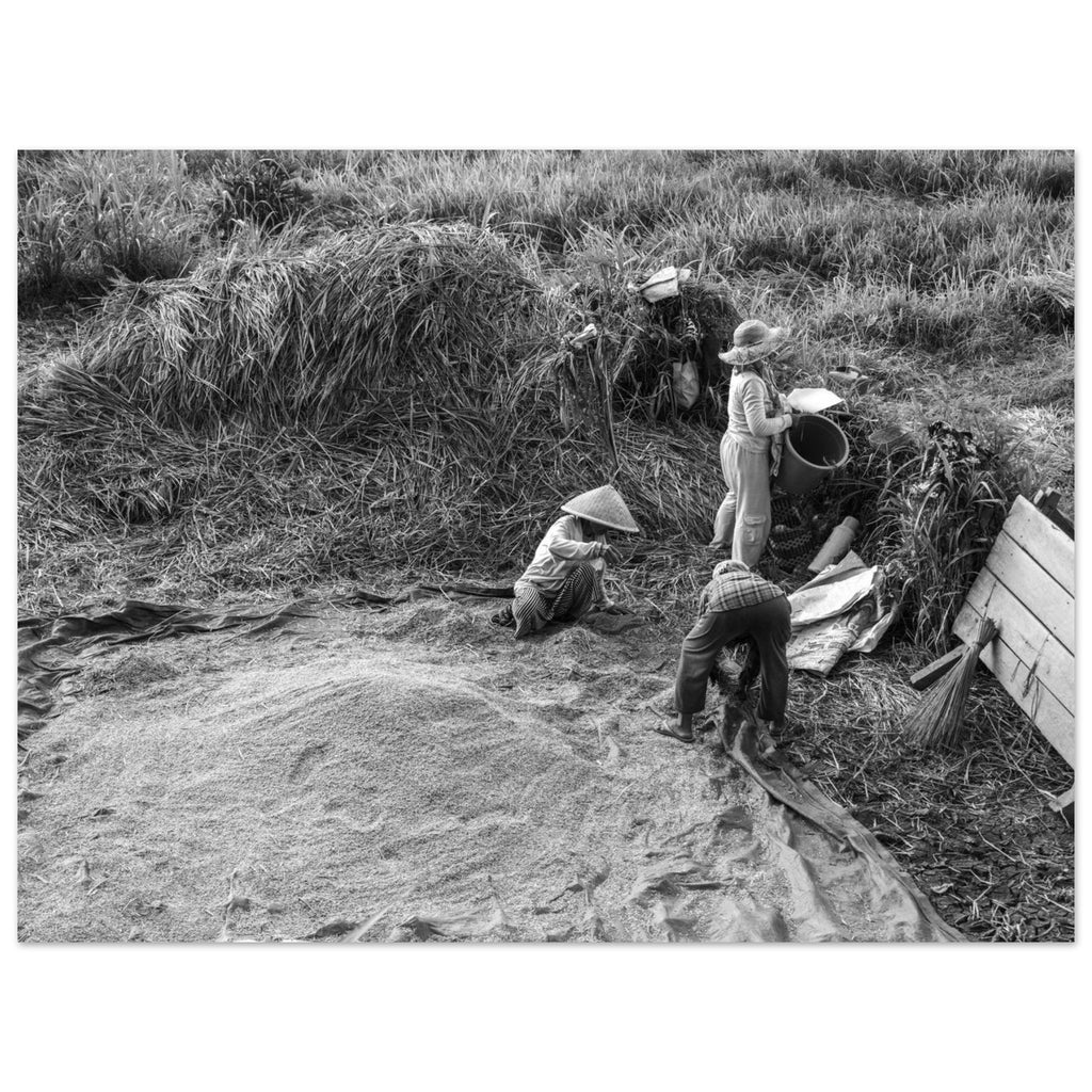 5268a699-d9df-40fd-8856-0b1a8f6c456b