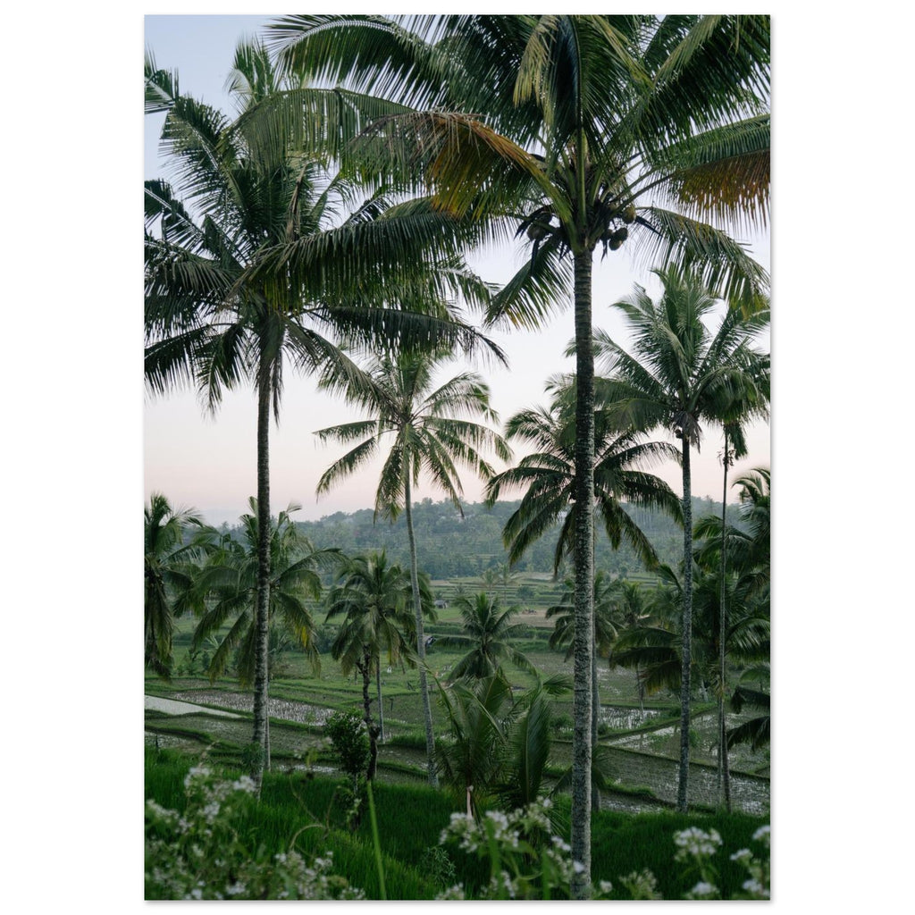 5a8b8705-b81f-442c-a63b-d7e17511cbf4