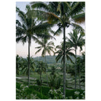 5a8b8705-b81f-442c-a63b-d7e17511cbf4