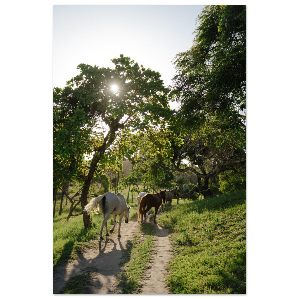 5f77628f-a386-481c-915a-a8cae17f2fd5