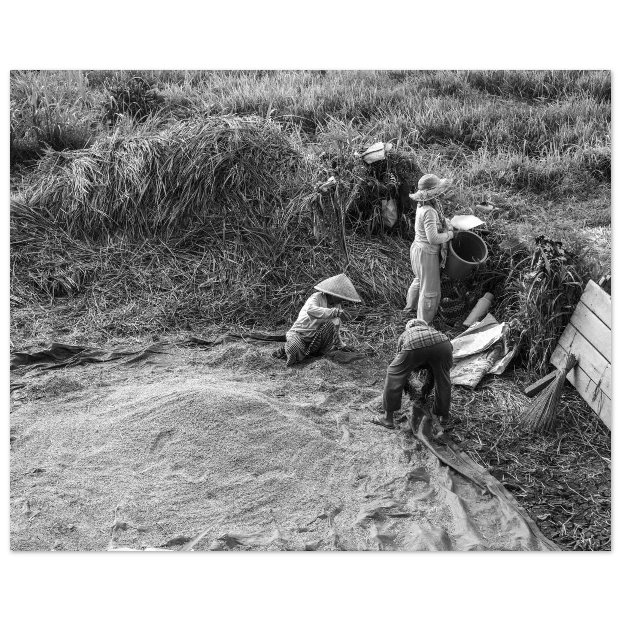 613d16fa-5e87-4621-af2d-cde0b2bd22d2