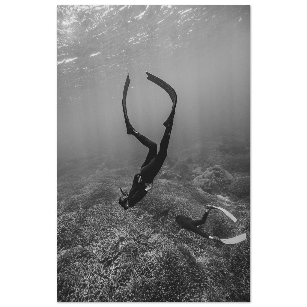 6293664d-b2fe-4225-a908-5bd3b399abc5