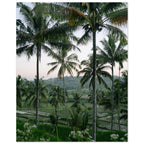 69dfe08d-0960-45d0-8a65-b993709ee922