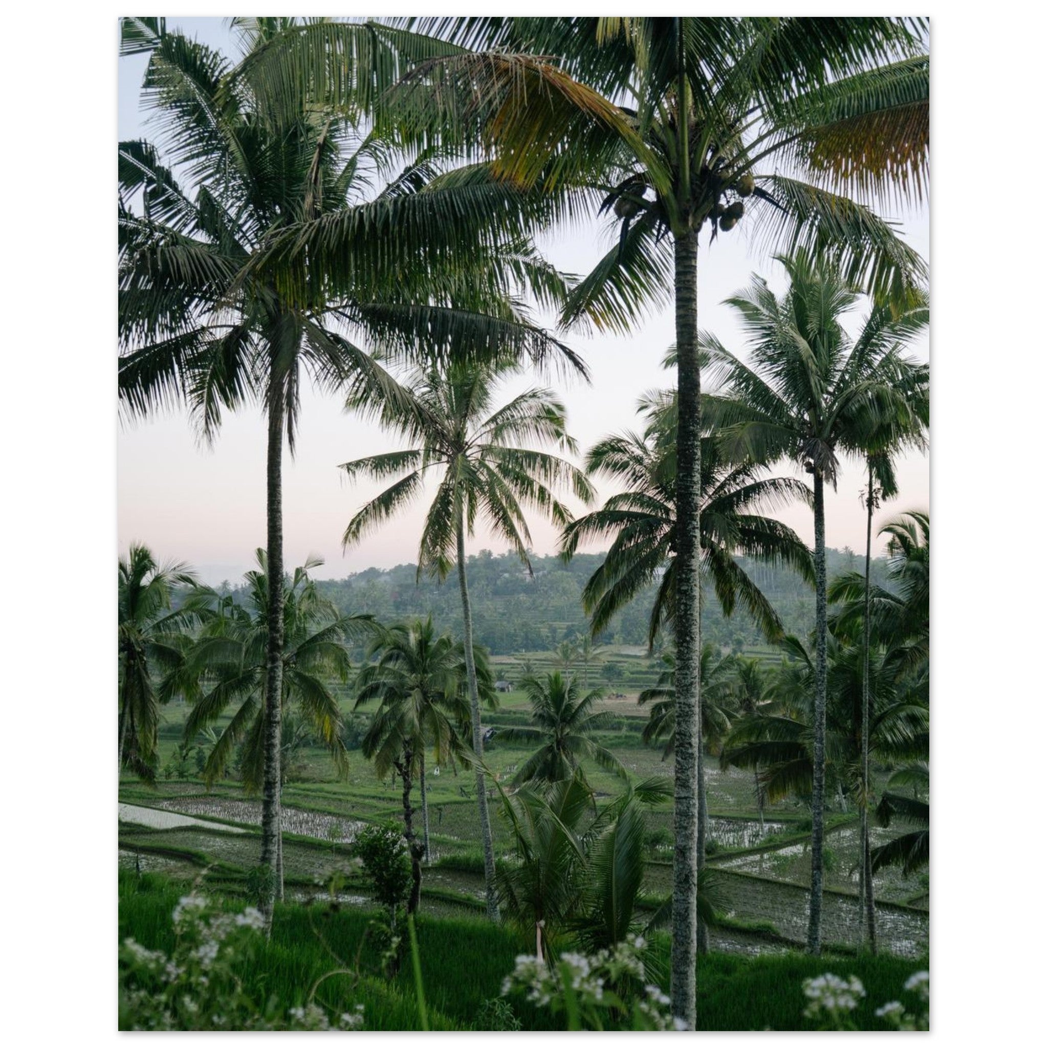 69dfe08d-0960-45d0-8a65-b993709ee922