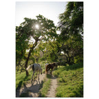 6a2d97cd-fb51-4338-a591-1c26469399cb