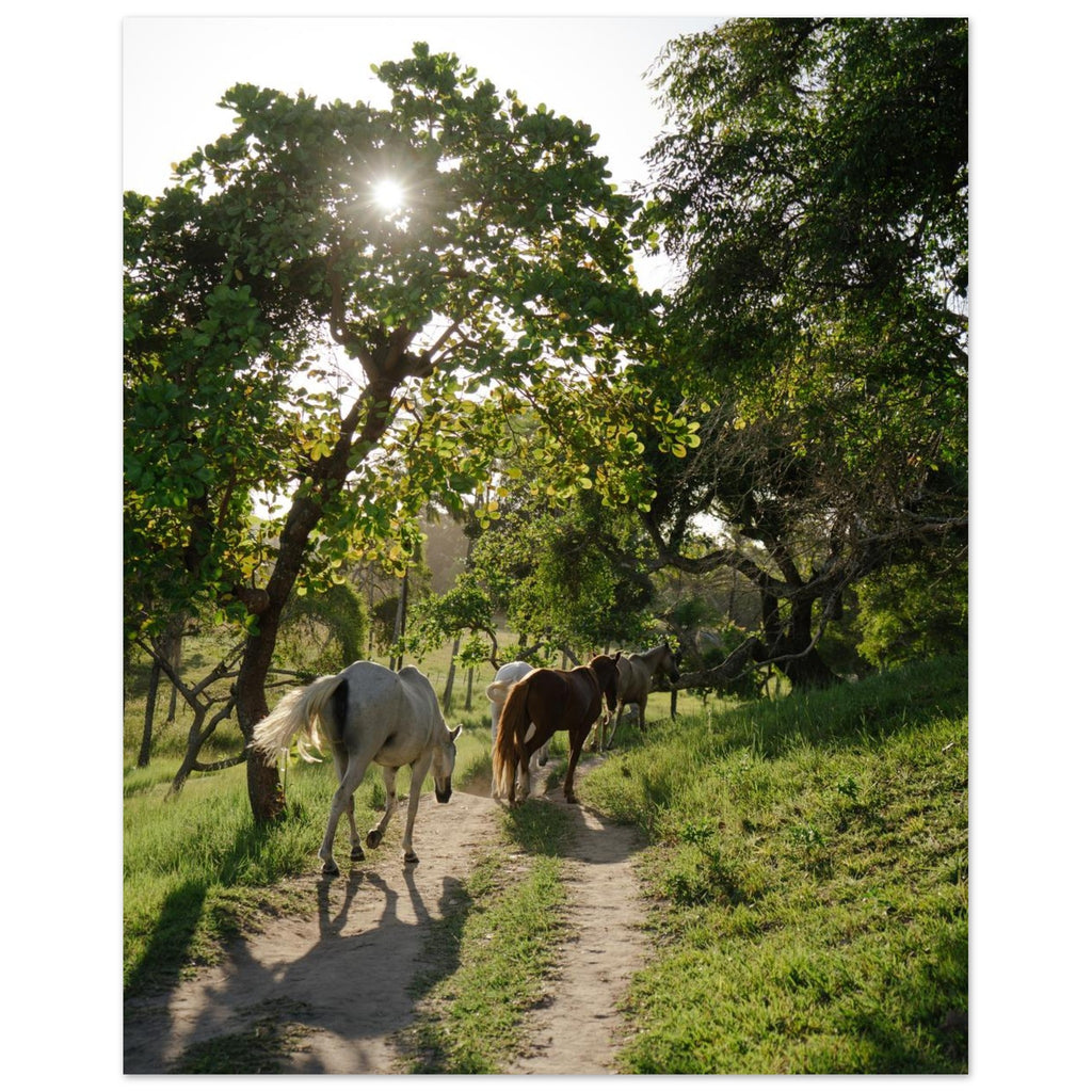 6c63c4c6-ed32-40bd-abf5-1d02c608de8d