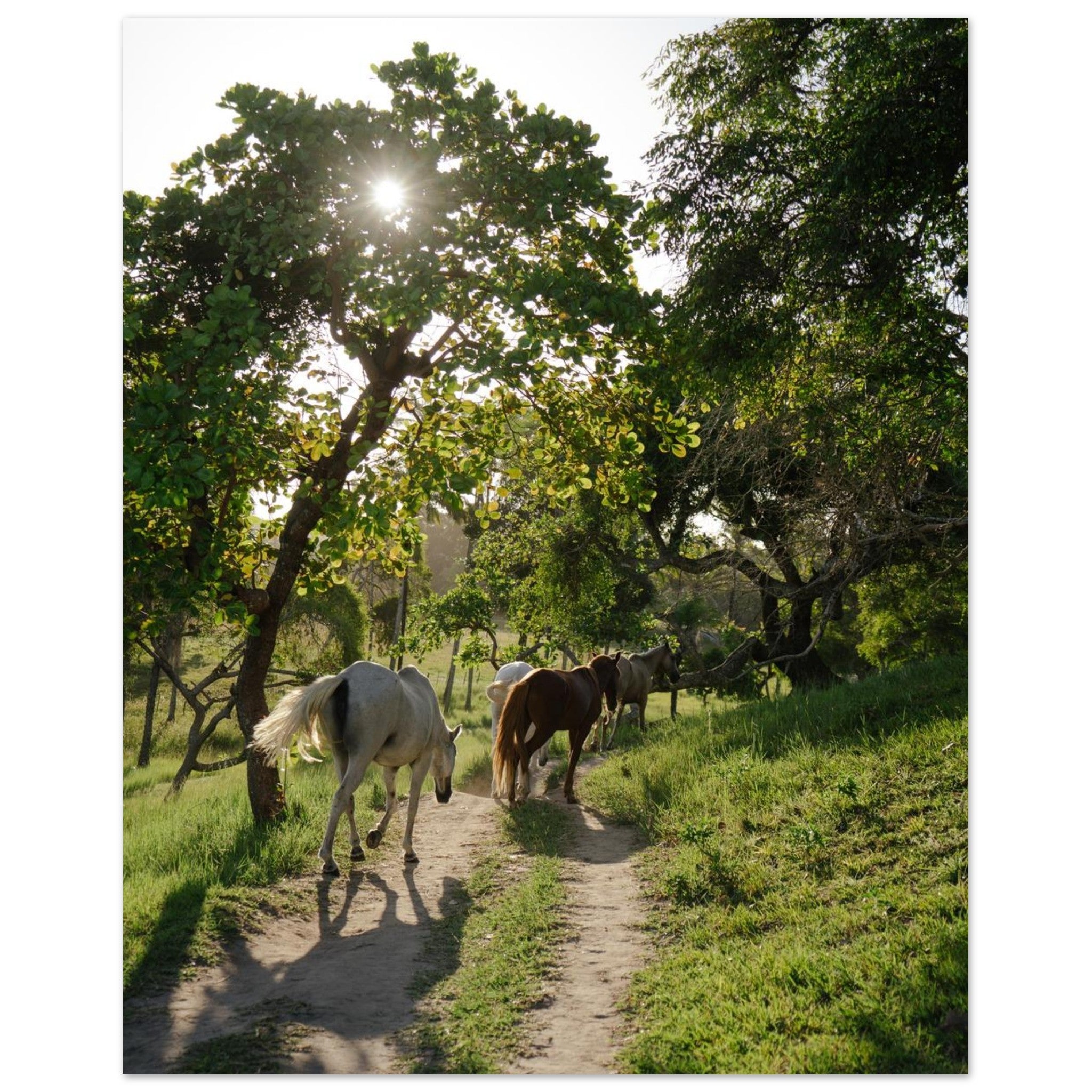 6c63c4c6-ed32-40bd-abf5-1d02c608de8d