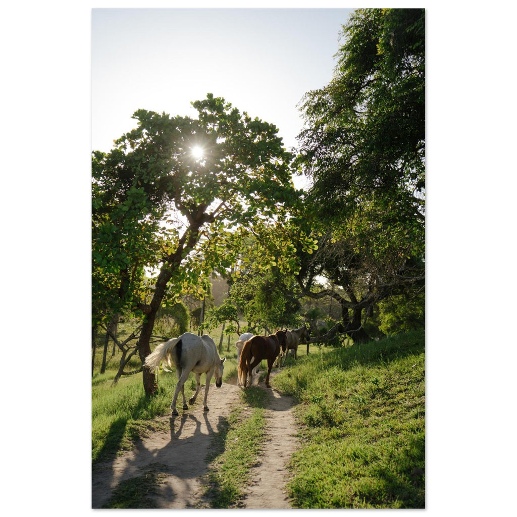 6d97cc97-50e7-48fd-8986-f5a556b1eca2