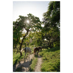 6d97cc97-50e7-48fd-8986-f5a556b1eca2