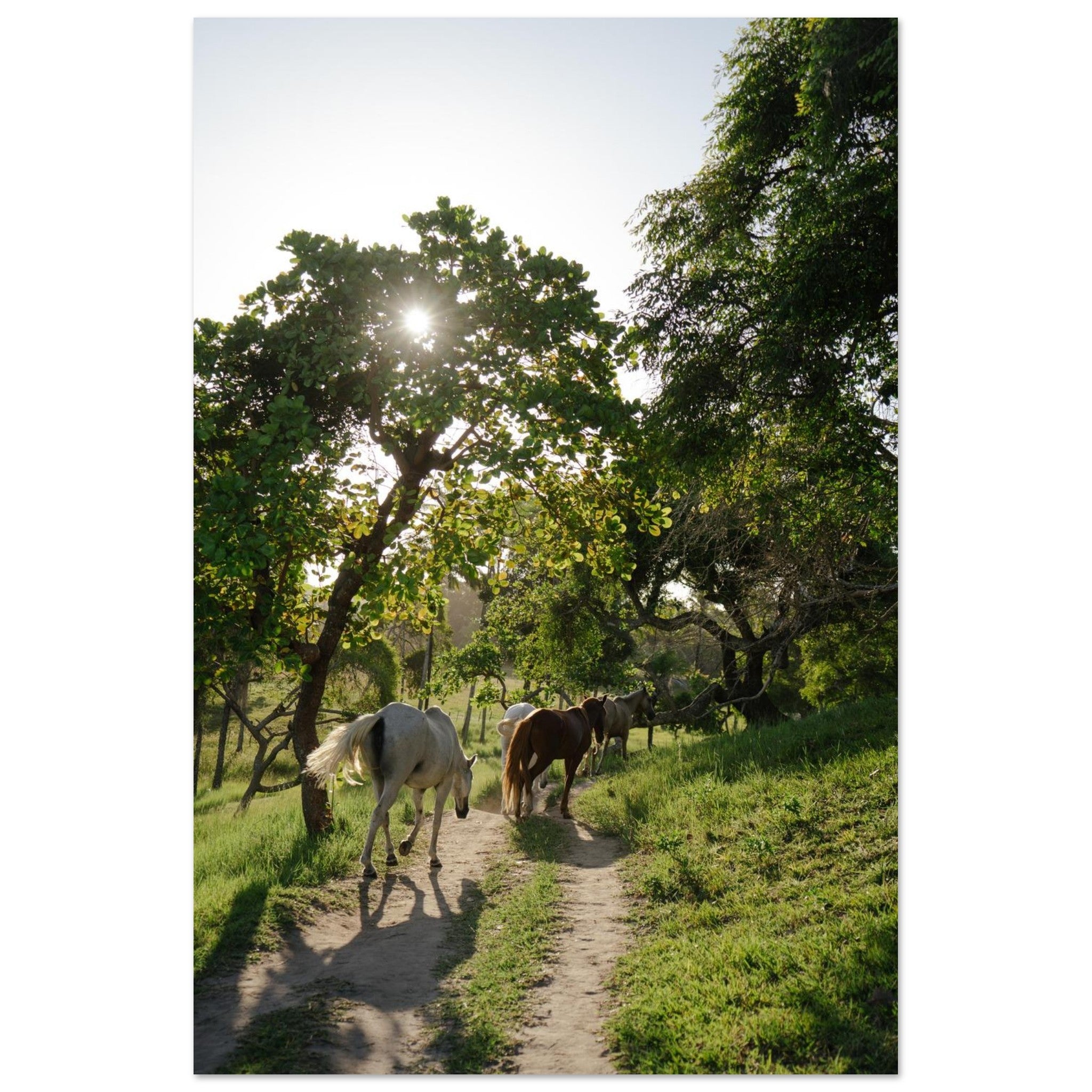 6d97cc97-50e7-48fd-8986-f5a556b1eca2