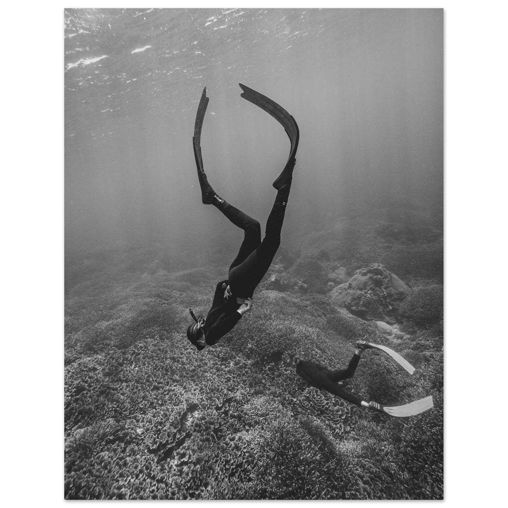 76372440-1bf3-4366-9612-255b53d4d5e9