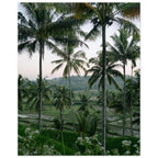 7ab46486-7c5d-45e0-8c19-1f01df2baf98