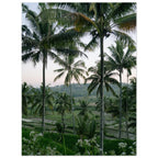 7bc2d13a-51ee-460f-9518-60b40f7c2454