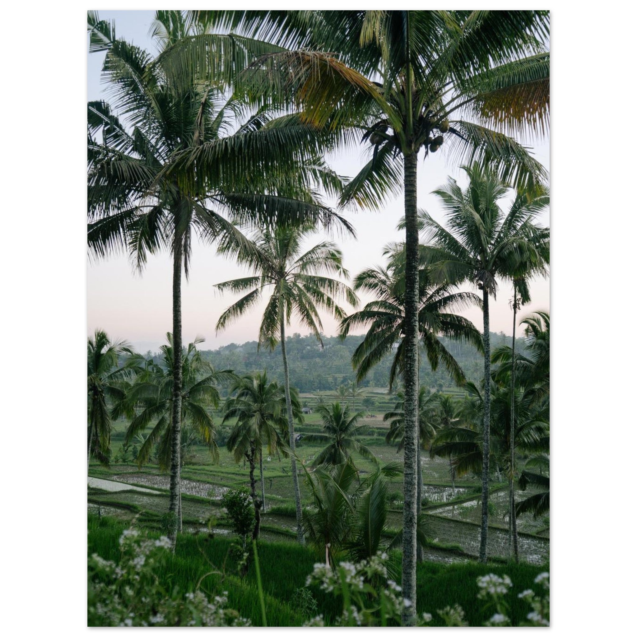 7bc2d13a-51ee-460f-9518-60b40f7c2454