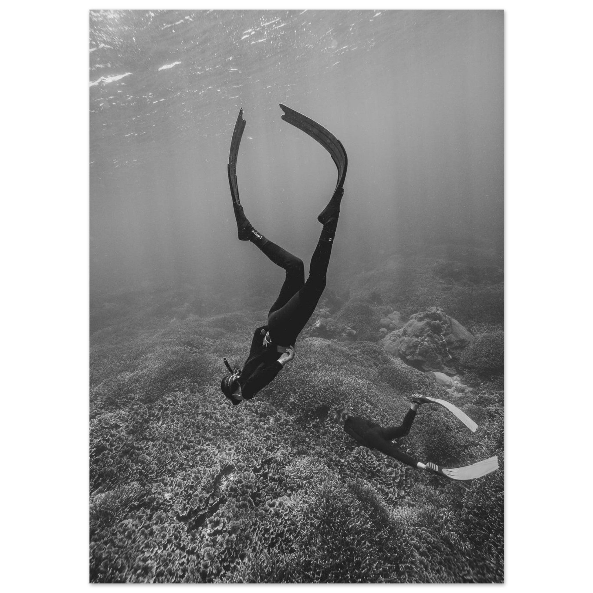 7bd87ed0-79e9-4e3c-b5bf-e01d27e36f7c