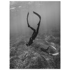 7e191abf-5e10-41ec-8ea8-a213f048872d