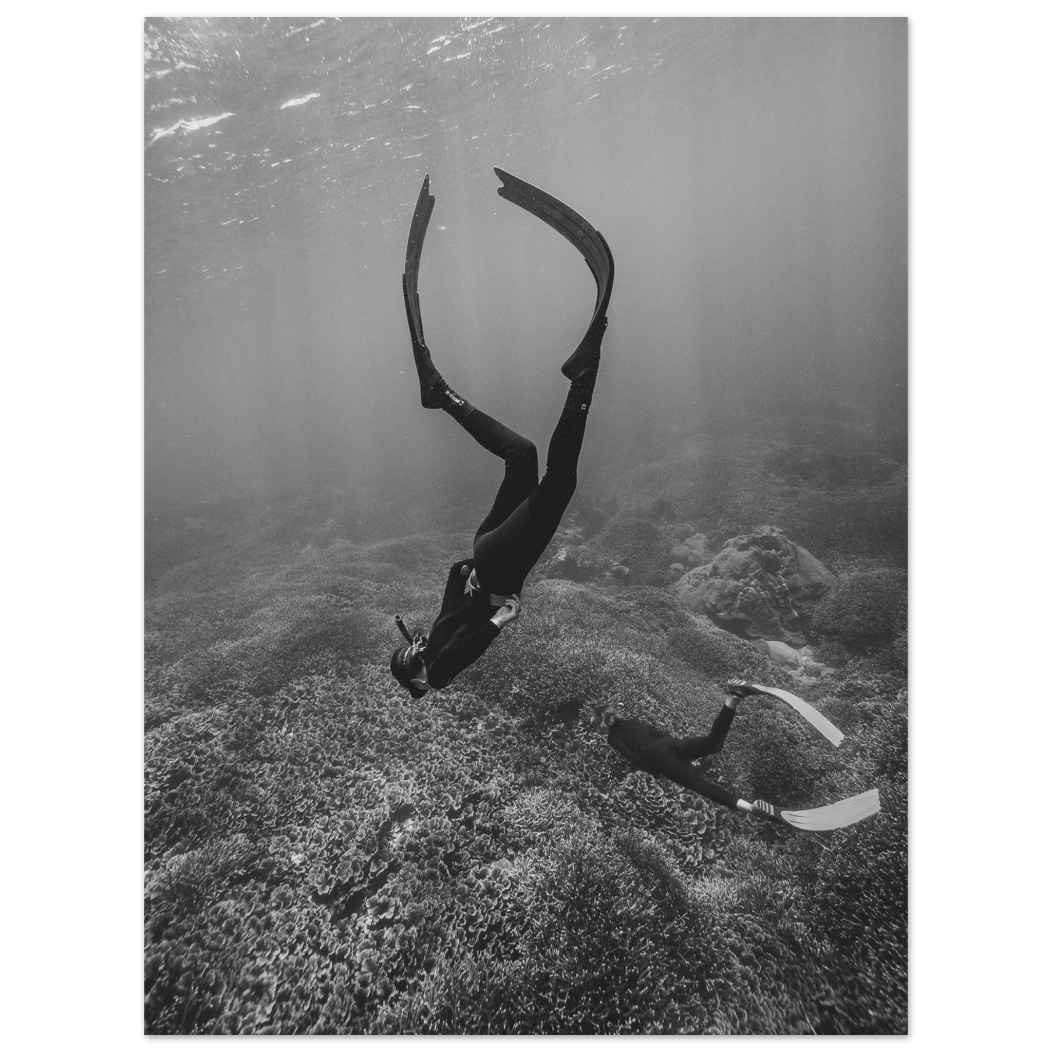 7e191abf-5e10-41ec-8ea8-a213f048872d