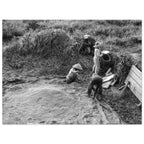 82b90bb0-0ae4-4dda-aafb-3ce378fa36f7