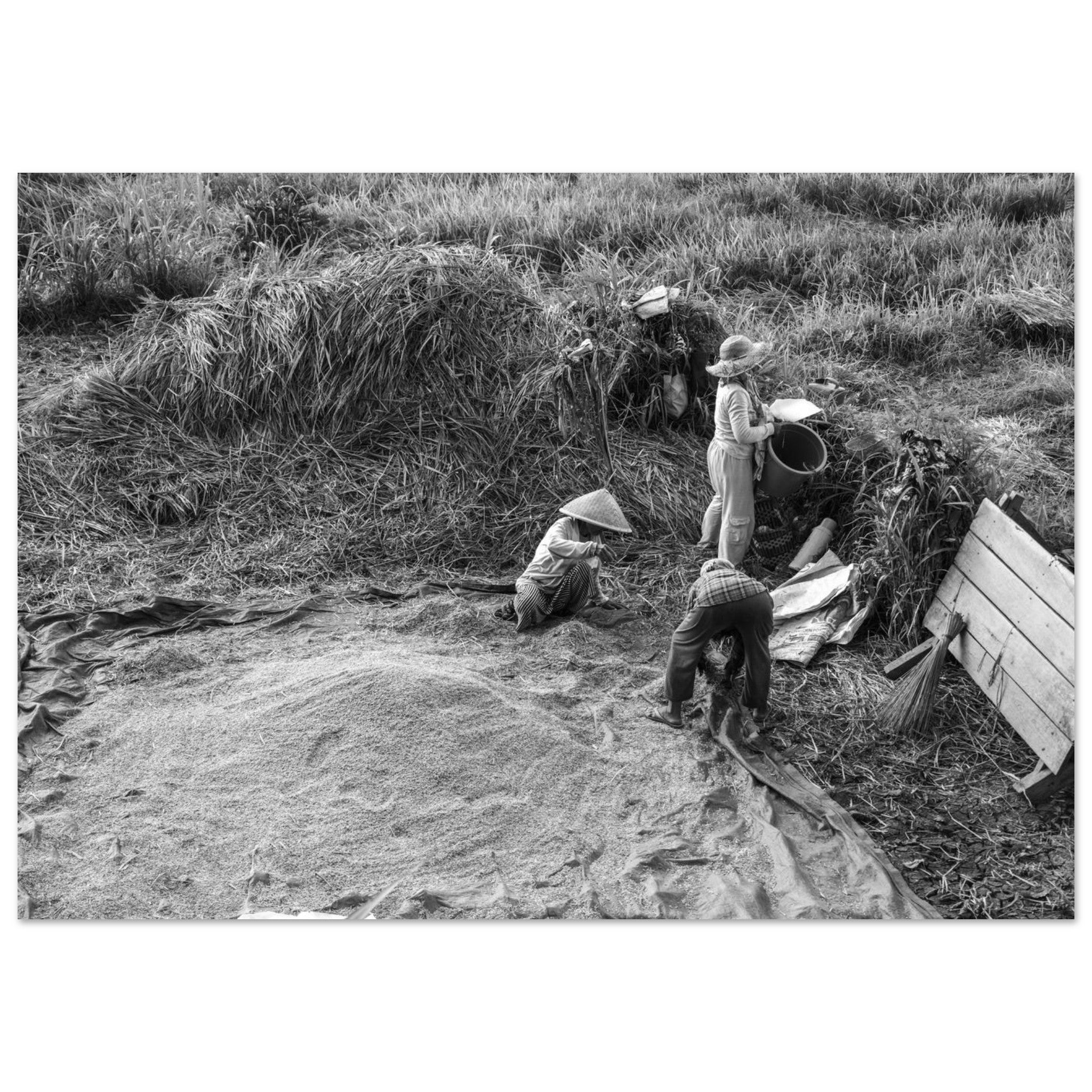 82ea4b97-03d3-43c4-b07c-b8a8ec1cd914