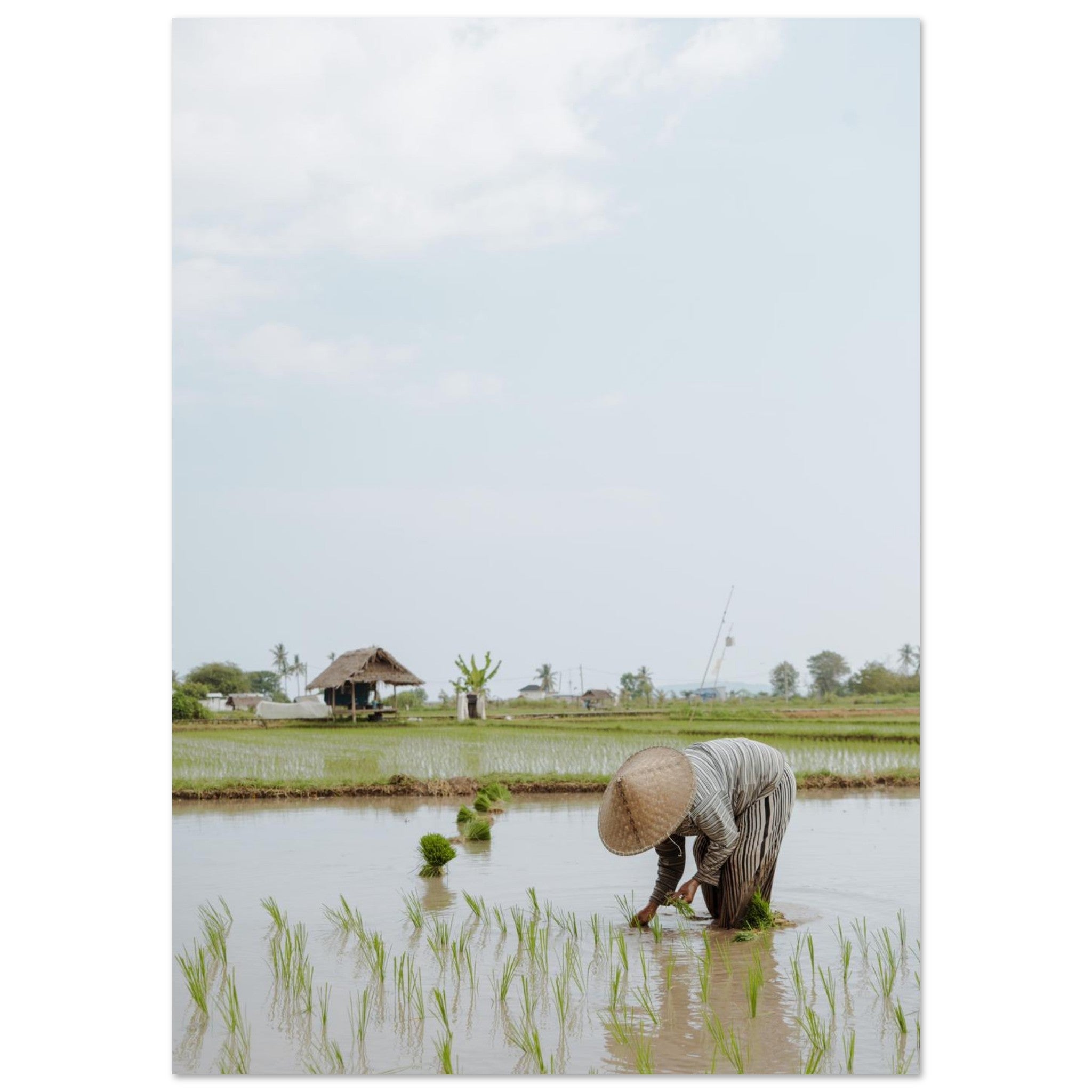 84c80f9a-e755-4d0a-804e-220f3a675626