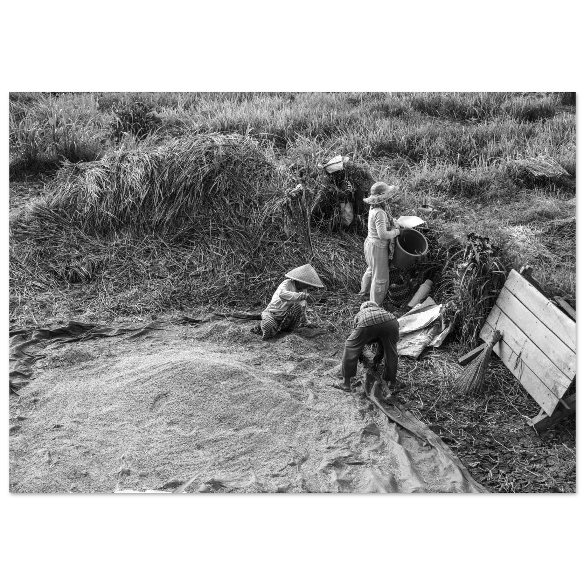 8a579bec-34ff-4ece-8bad-91d593ead751