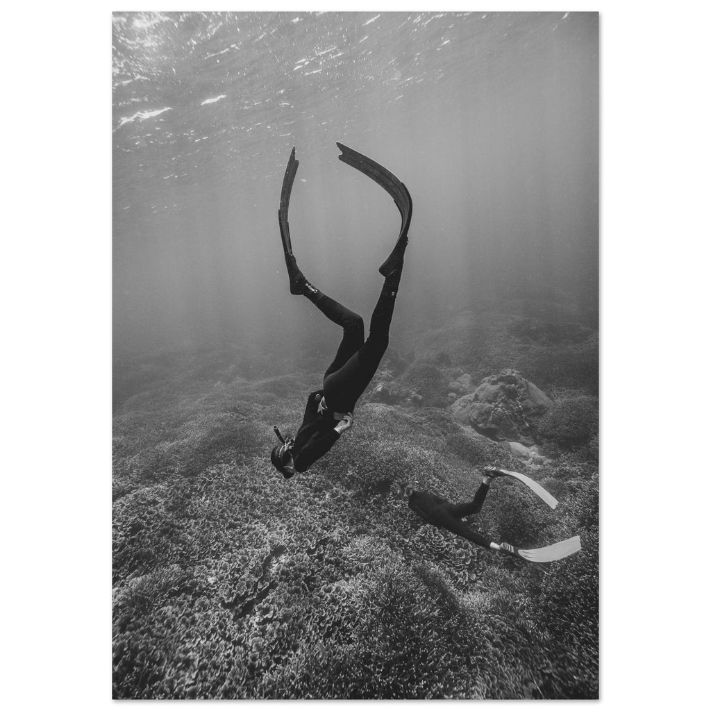 8a6bbedd-f552-4070-a7a9-306949ed0c4e