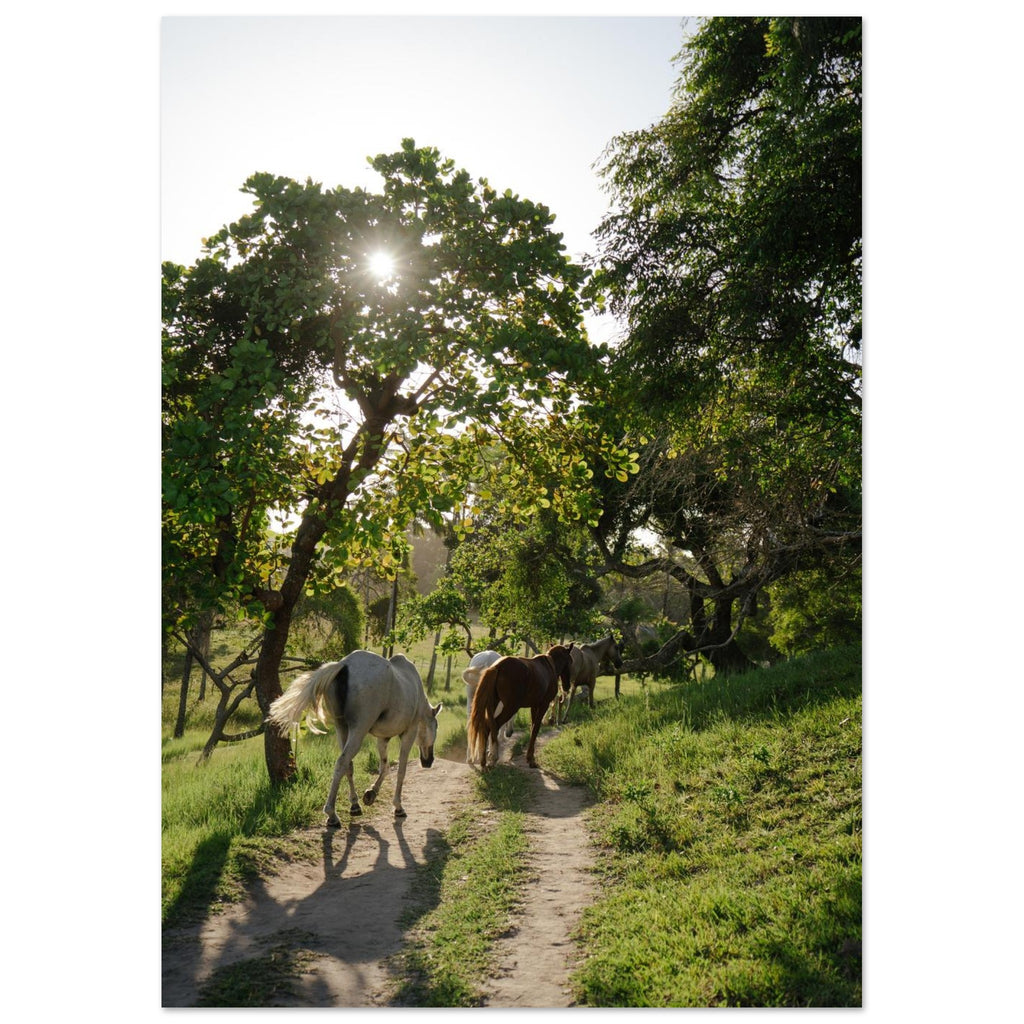 8f76fd93-7048-43d4-8fa2-576de0287d4a