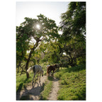 8f76fd93-7048-43d4-8fa2-576de0287d4a