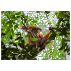 953390a9-64cc-4b2c-8600-c78336d74055