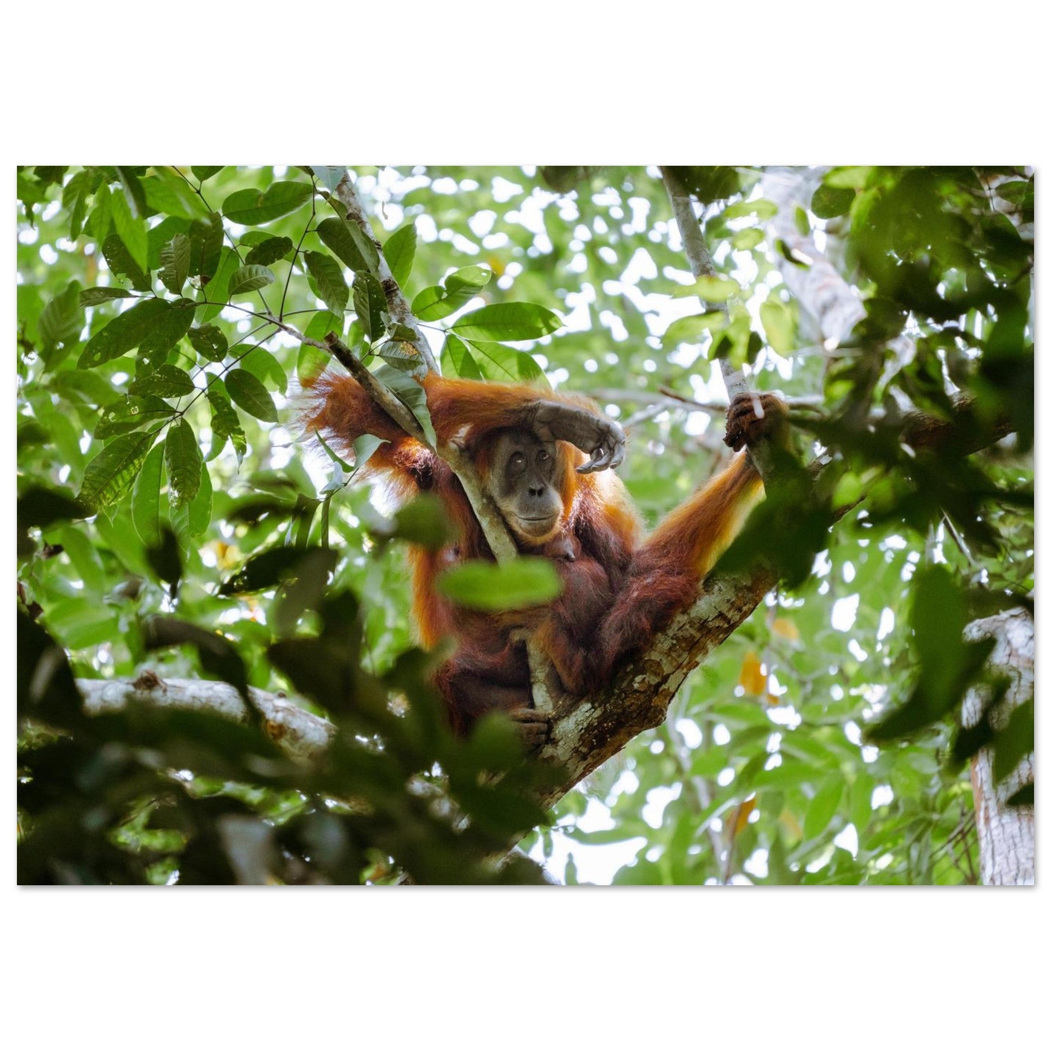 953390a9-64cc-4b2c-8600-c78336d74055