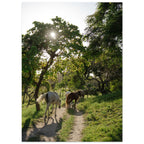 9787e7e6-b0d1-46fc-8a6d-551e0e7062c2